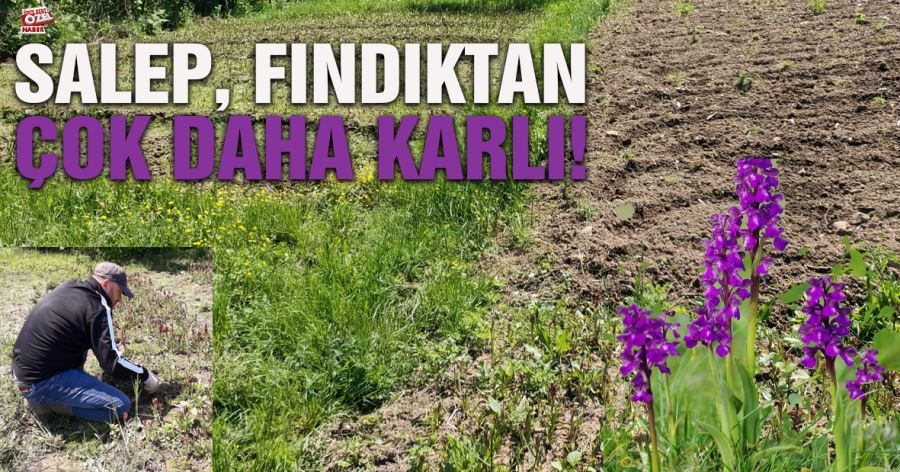 Desteklenirse Araklı'da Üretilebilir..!